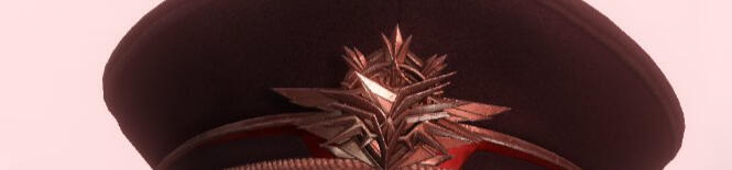 Feel free to call me Ceri (I’m open to any pet names or nicknames!). I use she/her pronouns, am 22+, an ENFJ 2w1, and a Pisces princess.